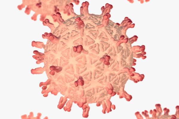 Coronavirus image